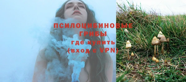 героин Алексин