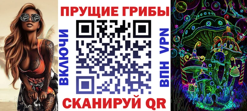 МЕГА маркетплейс  Алексин  Псилоцибиновые грибы GOLDEN TEACHER 